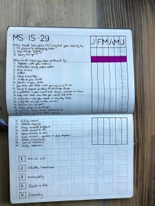 MS-IS-29 overview. 29 questions about different things my MS could impact. A column for each month from January to June. And a scale legend. 1: Not at all, 2: little/sometimes, 3: Moderate, 4: quite bit, 5: extremely. 
