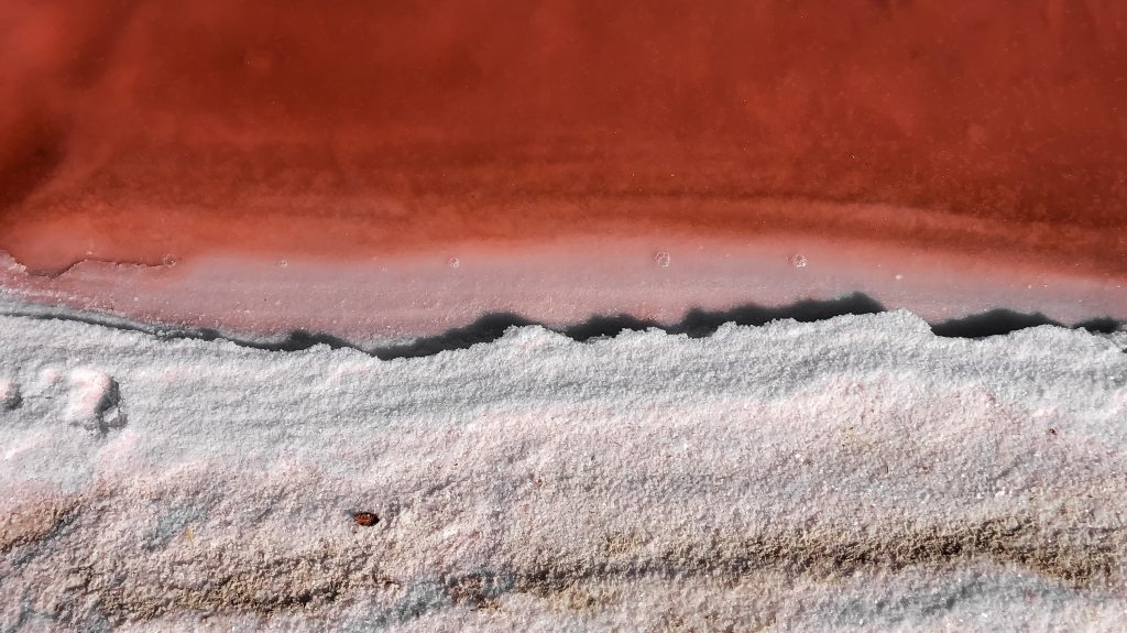 The edge of a lake or puddle. The top is red with some disturbed sand visible. The bottom looks like sand or salt and is white and brown. 